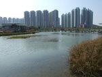 DSCF4673