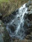 DSCF4874