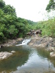 DSCF4104