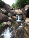 DSCF4105
