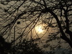 DSCF2648