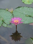 DSCF5501