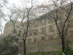 DSCF7997