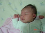 1-1-2006 (1)