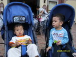 22-5-2008�p�p�@��