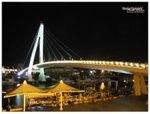 31-IMG_6362