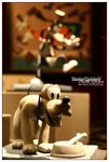 IMG_9616