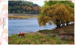 IMG_4661r