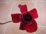 DSC01668