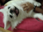 DSC00889