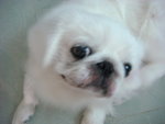 DSC00958