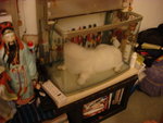 DSC01103