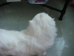 DSC01143