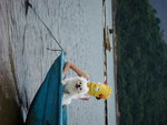 DSC00856