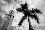 DSC_8739a