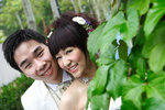 DPP_2007