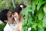 DPP_2008