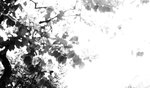 Inti_BW_01