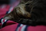 DSC_00040002