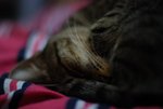 DSC_00050003