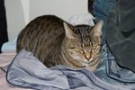 DSC_0008