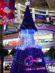 IMG_4457