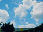 IMG_0223
