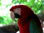 IMG_9684