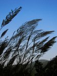 IMG_4648
