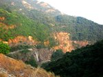 IMG_4654