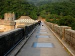 IMG_4657