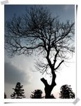 IMG_0507