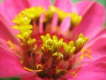 IMG_9675