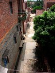 IMG_3395