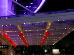 IMG_1453