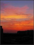 IMG_0263