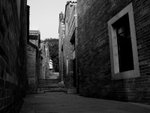 IMG_2516