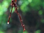 IMG_9644