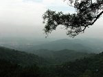 IMG_9658