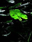 IMG_9682