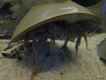 IMG_0822