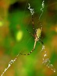 IMG_2694
