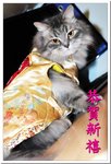 BON_3990