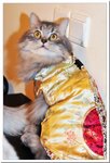 BON_4007