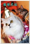 BON_4011