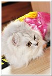 BON_4018