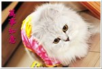 BON_4019
