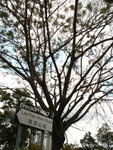 2007_03_31-014