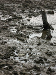 2007_03_31-058