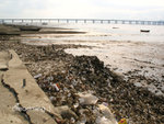 2007_03_31-061